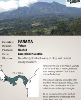 Panama Baru Coffee Beans