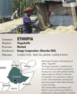 Ethiopian coffee beans